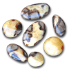Septarian Gallet 5LB Lot