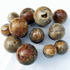 Ammonite Spheres (40-60mm)