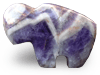 Amethyst Banded Buffalo