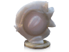 Agate Sunfish