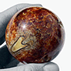 Ammonite Sphere (50mm)
