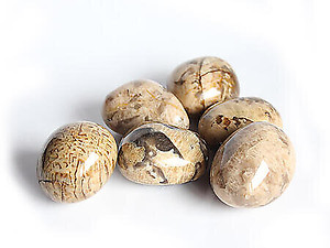 Zebradorite Gallets