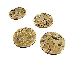 Zebradorite Coasters 4pcs Set
