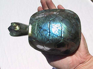 Labradorite Turtle - Large