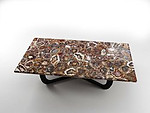 Petrified Wood Table Top (140 x 83 x 3 cm)