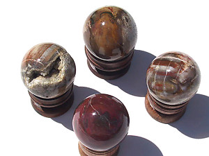 Petrified Wood Spheres (40-50 mm)