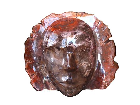 Petrified Wood Face