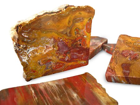 Petrified Wood Polished One Face