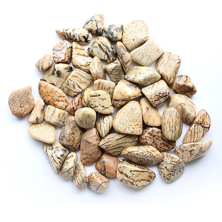 Zebradorite Tumbled Stones 18-30 mm