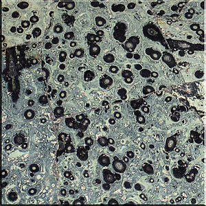 Crocodile Jasper Tile (40 x 40 cm)