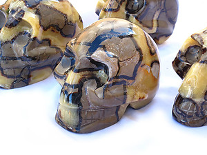 Septarian Skulls