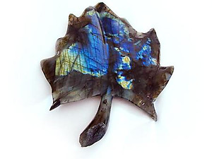 Labradorite Leaves - Large