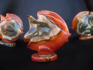 Desert Jasper Sunfishes