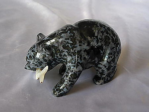 Indigo Gabbro Bear Eating Fish