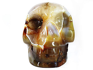 Carnelian Skulls