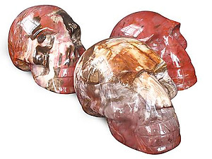 Petrified Wood Skulls