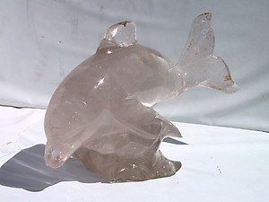 Large Museum Gallery Quartz Dolphin