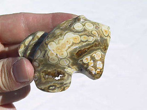 Small Sea Jasper Toad