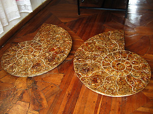 127cm Ammonite Pair