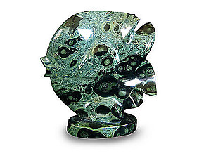 Crocodile Jasper Sunfish