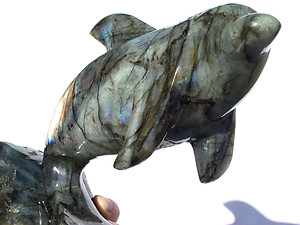 Labradorite Dolphin - Curled Tail