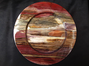 Petrified Wood Plate 8.5 inch - 0.85Kg