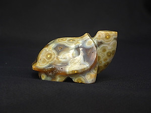 Sea Jasper Small Turtle