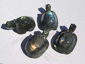 Labradorite Turtle - Large