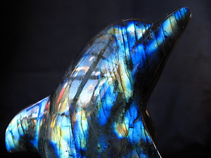 Labradorite Dolphin on Disk