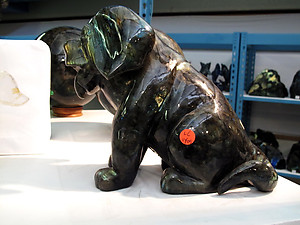 Labradorite Dog Sitting