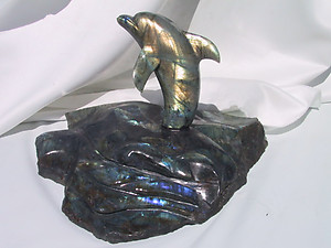 Large Museum Gallery Labradorite Dolphin