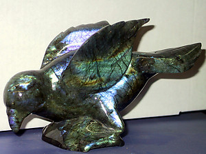 Labradorite Dove