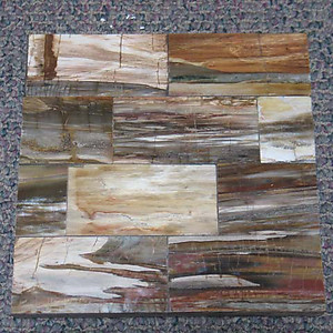 Petrified Wood Tile - Longitudinal Cut (40 x 40 cm)