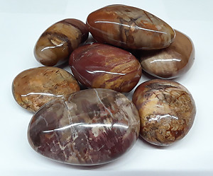 Petrified Wood Gallets