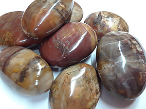 Petrified Wood Gallets