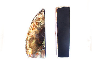 Petrified Wood Bookends (1-3Kg) - AAA