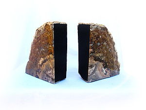 Petrified Wood Bookends (3-5Kg) - AAA