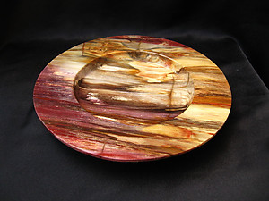 Petrified Wood Plate 8.5 inch - 0.90Kg