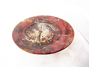 Petrified Wood Plate 6.5 inch - 0.40Kg