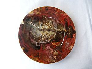 Petrified Wood PLate 6.5 inch - 0.45Kg