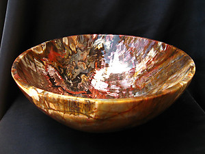 Petrified Wood Bowl 12 inch - 3.66Kg