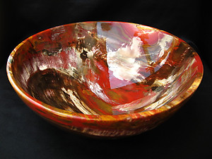 Petrified Wood Bowl 8.5 inch - 1.53Kg