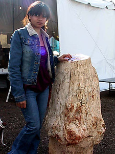 Petrified Wood Pedestal 398Kg