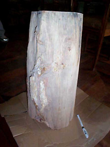 Petrified Wood Pedestal 54.35 Kg