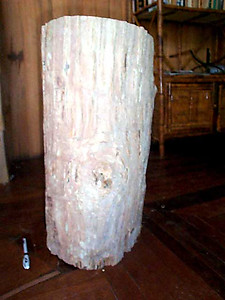 Petrified Wood Pedestal 94.45 Kg