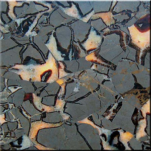 Septarian Tile (50 x 50 cm)