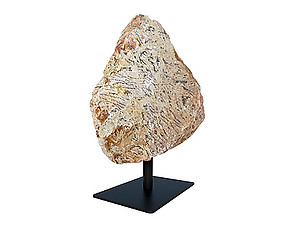 Zebradorite Rough on Base - Medium