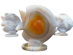 Agate Sunfish Carvings