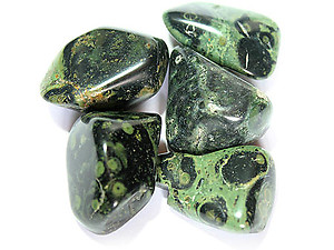 Crocodile Jasper Tumbled Stones (45-60 mm)