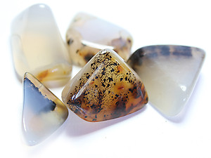 45-60 mm Dendritic Agate Tumbled Stones